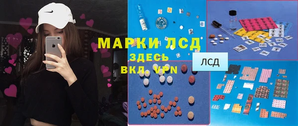 ГАЛЛЮЦИНОГЕННЫЕ ГРИБЫ Горняк