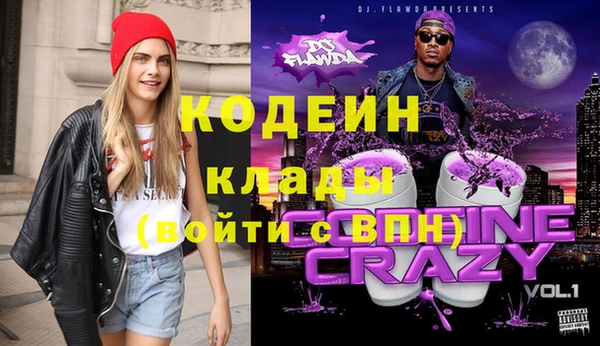 ГАЛЛЮЦИНОГЕННЫЕ ГРИБЫ Горняк