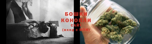 ГАЛЛЮЦИНОГЕННЫЕ ГРИБЫ Горняк